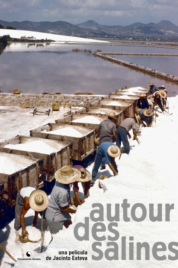 Autour des Salines poster
