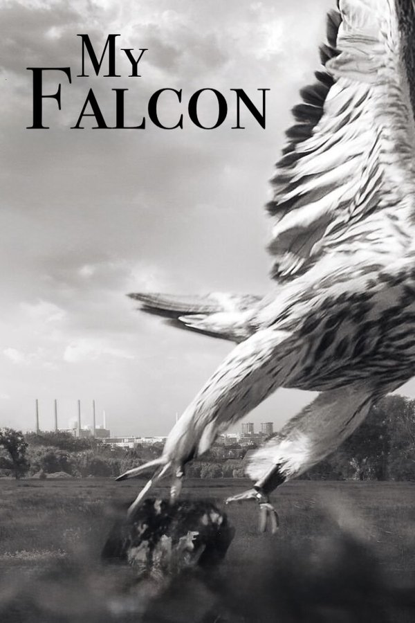 My Falcon poster