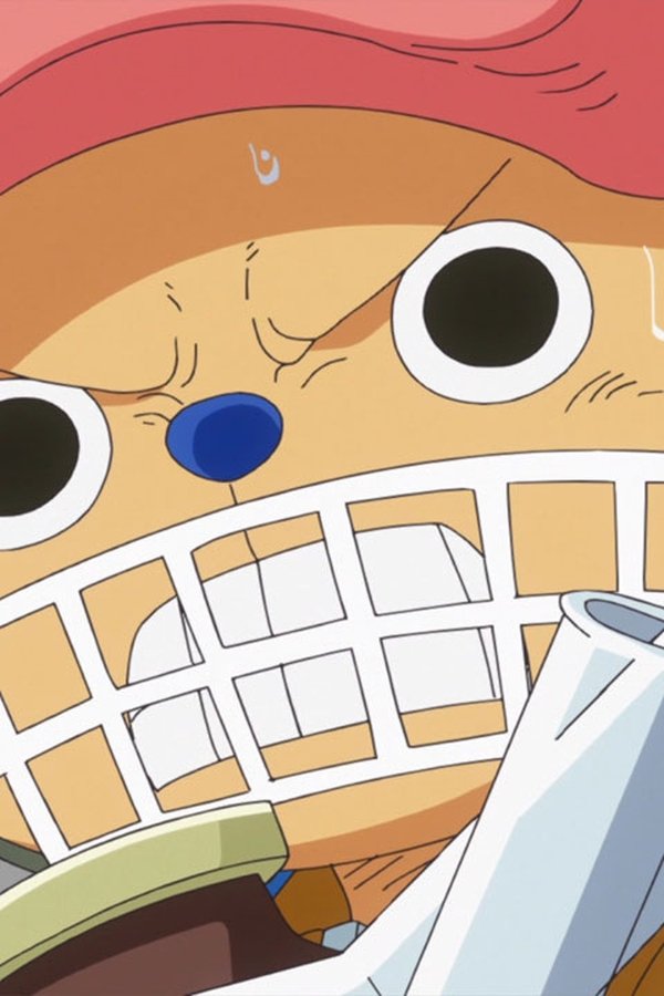 One Piece: All’arrembaggio! – S18E761 – Corsa contro il tempo – Il legame dei visoni e l’equipaggio!