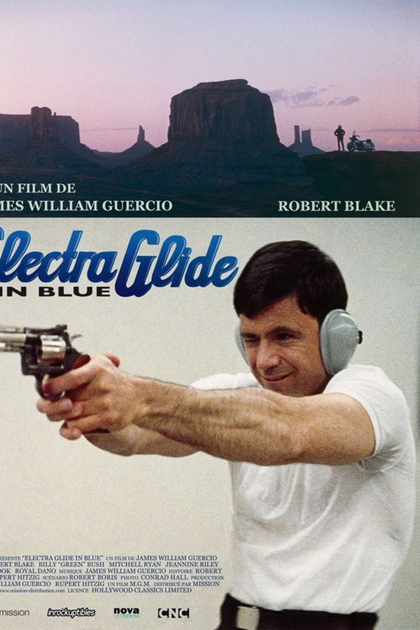 Electra glide in blue