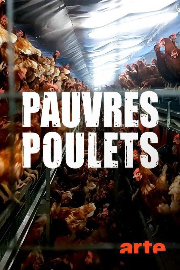 Armes Huhn – armer Mensch poster