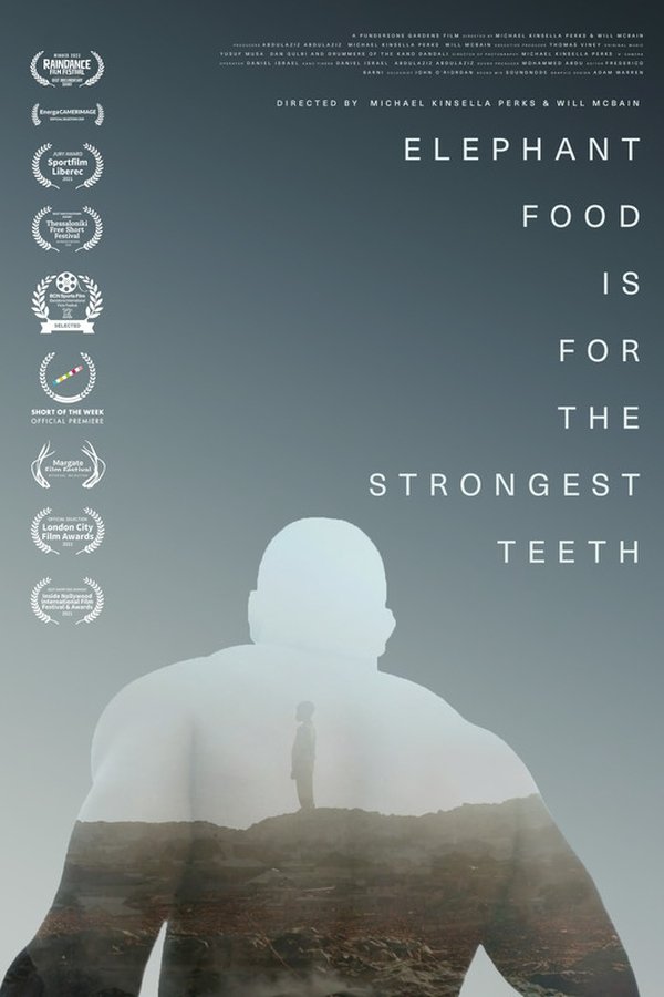 Elephant Food Is for the Strongest Teeth