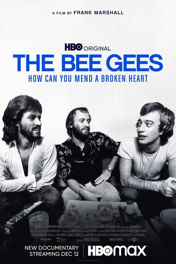 The Bee Gees: How Can You Mend a Broken Heart (2020) The Bee Gees: How Can You Mend a Broken Heart (2020)