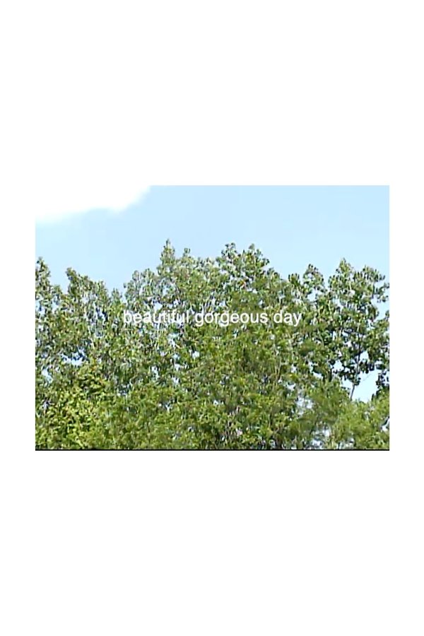 beautiful gorgeous day