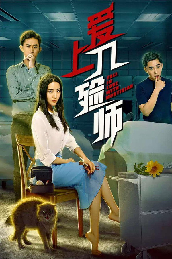 爱上入殓师
