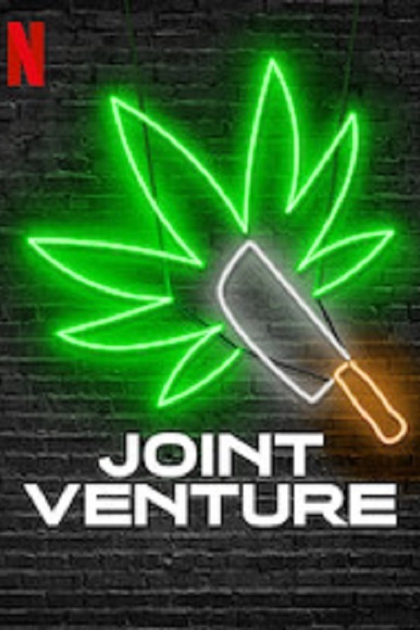 DE - Joint Venture (2019)