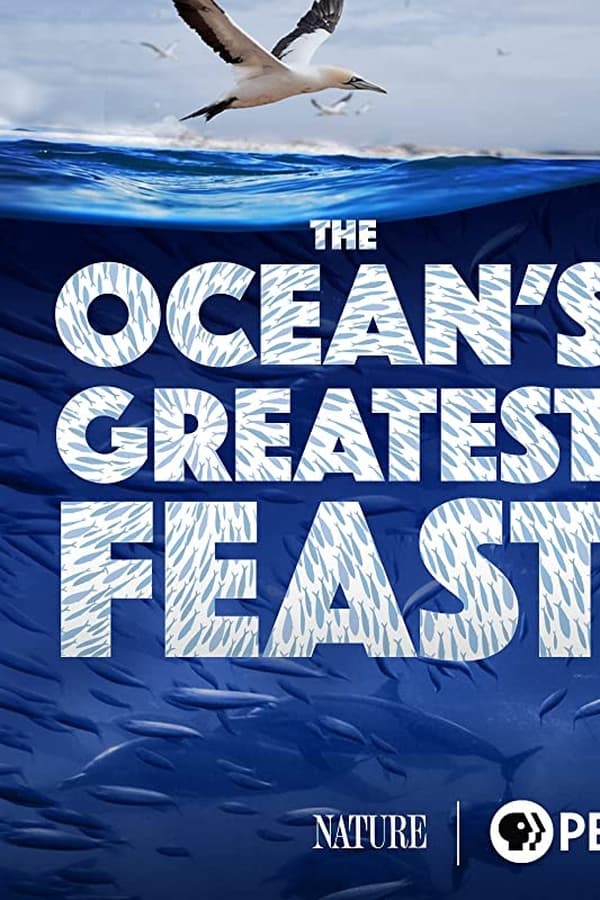 EN - Nature: The Ocean’s Greatest Feast  (2022)