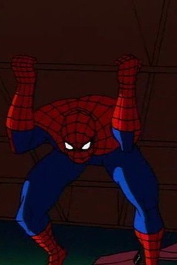 Spider-Man: L’uomo ragno – S04E02 – Il Gatto