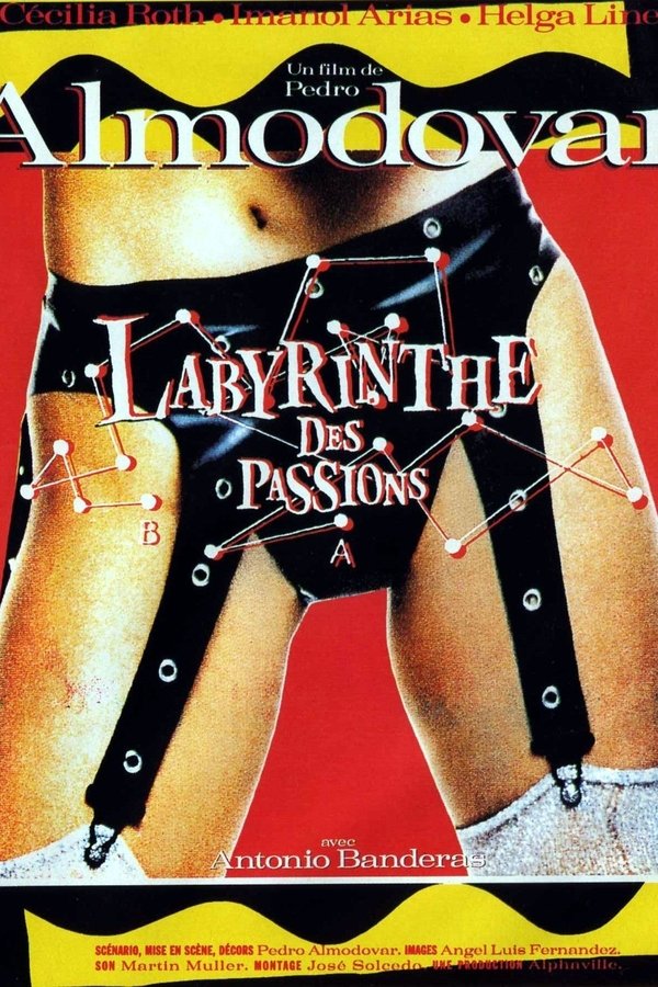 Le Labyrinthe des passions