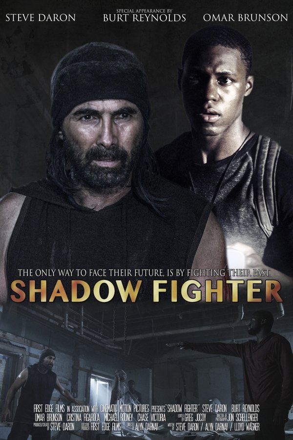 EN - Shadow Fighter (2017) from Crystal panel