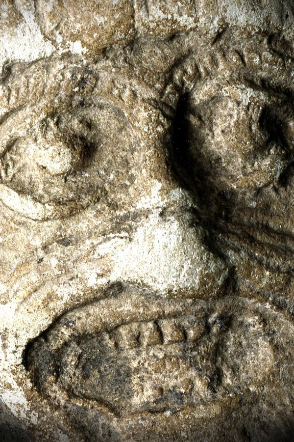Enigmi alieni – S15E09 – Gli alieni mutaforma