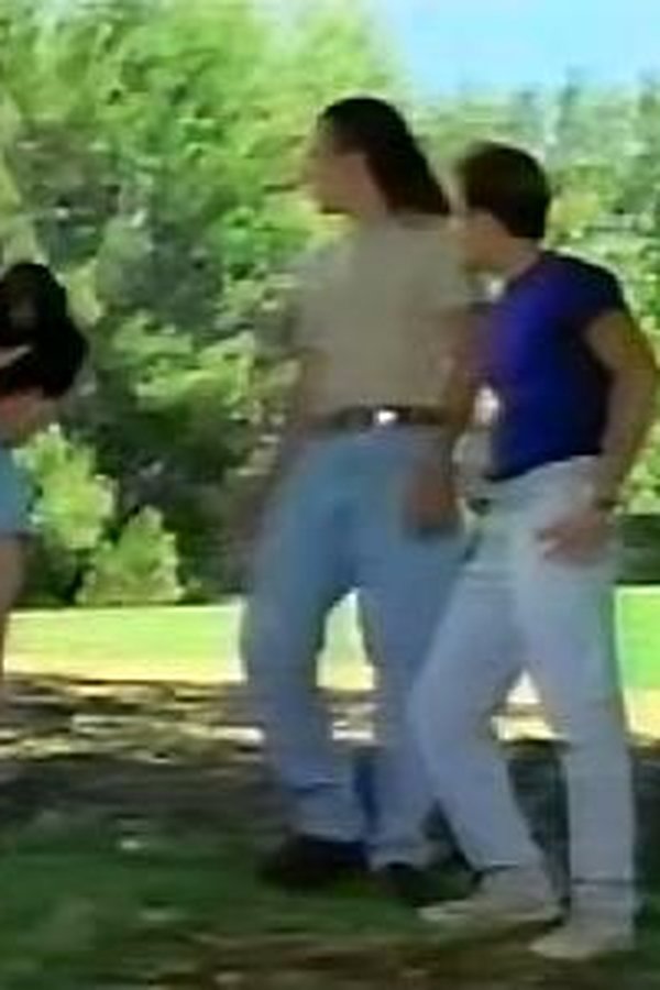 Power Rangers (1993) – S03E26 – Il muro