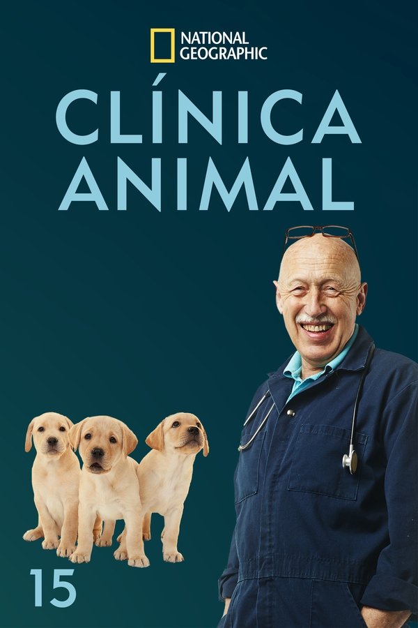 Temporada 15