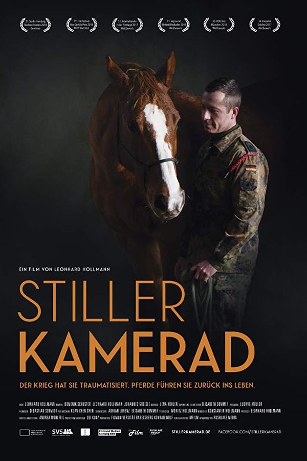 TVplus NL - Stiller Kamerad (2018)