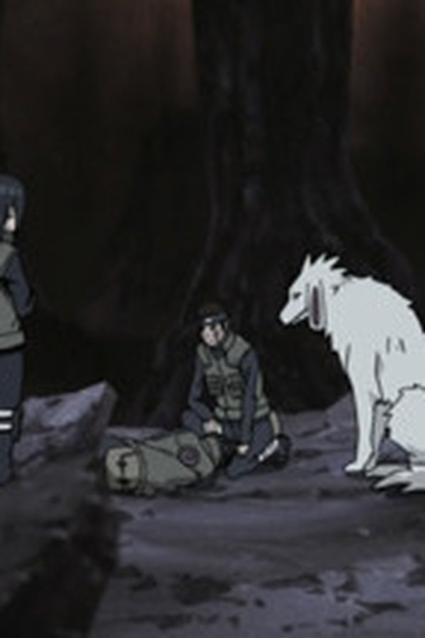 Naruto Shippuden – S13E279 – La trappola di Zetsu Bianco
