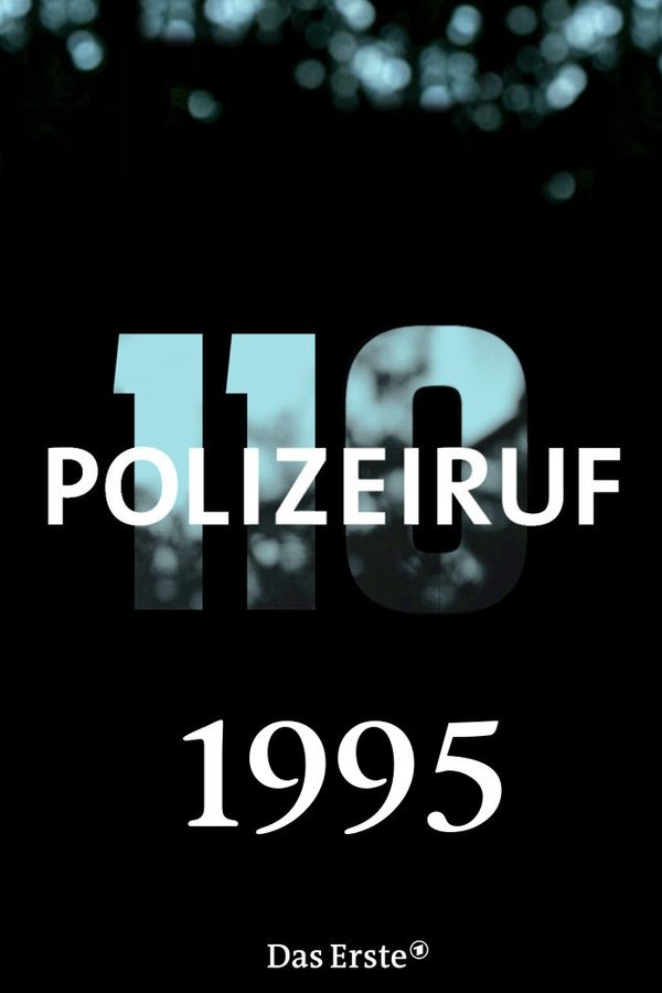 匪警110第24季