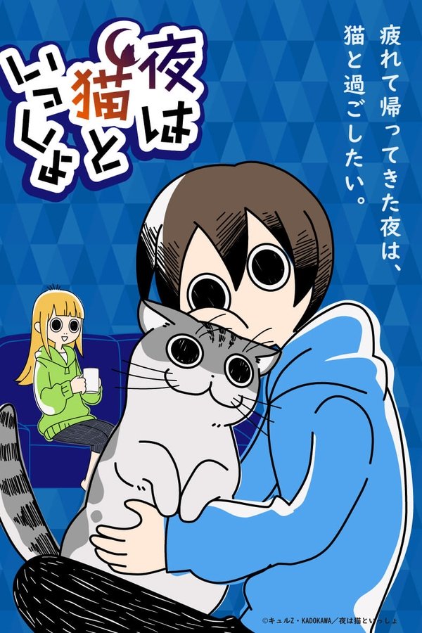 Nights with a Cat