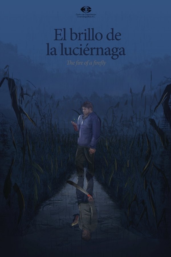 The Fire of a Firefly