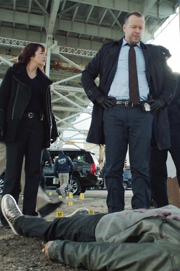 Blue Bloods – S07E14 – Dentro e fuori