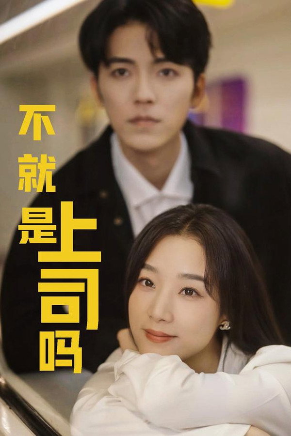 不就是上司吗