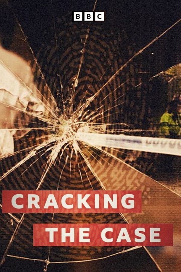 Cracking The Case
