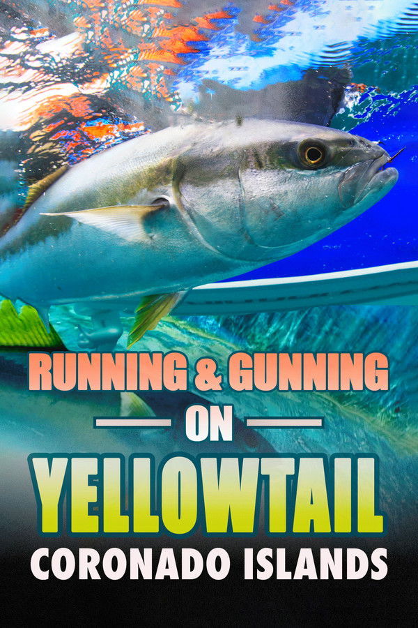 Running & Gunning on Yellowtail Coronado Islands Erotic Movies