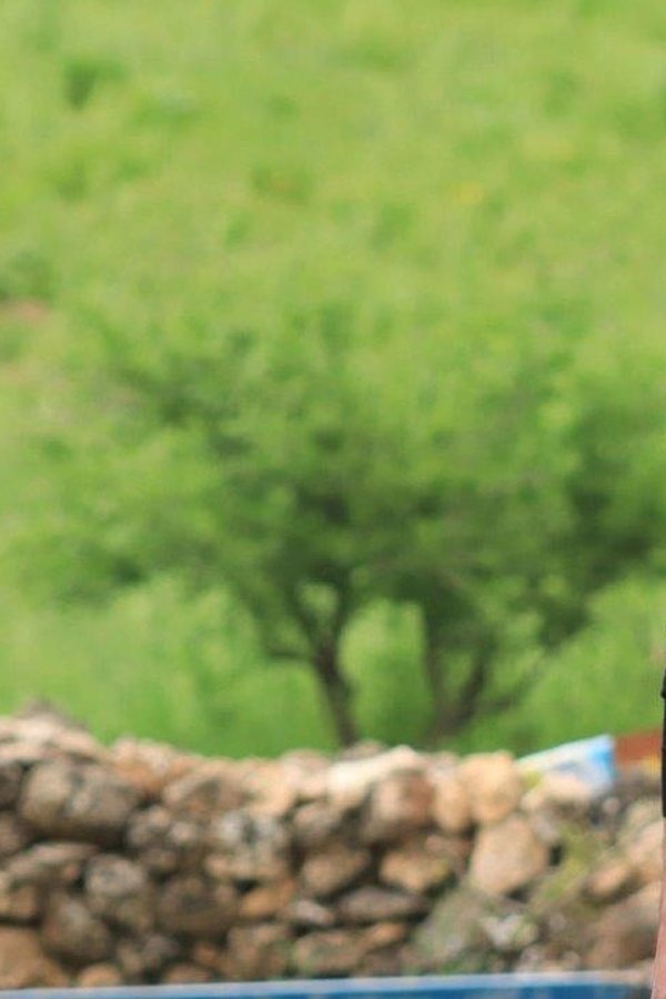 Hercai – Amore e vendetta – S01E09 – Episodio 9
