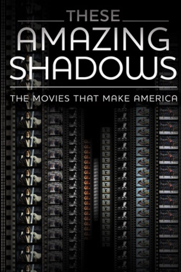 These Amazing Shadows (2011)