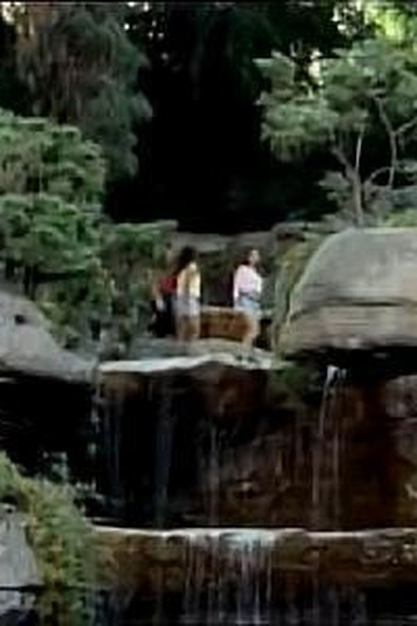 Power Rangers (1993) – S03E06 – I poteri ninja (3)