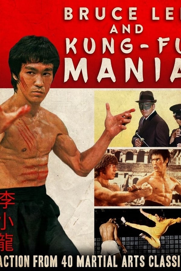 Bruce Lee and Kung Fu Mania