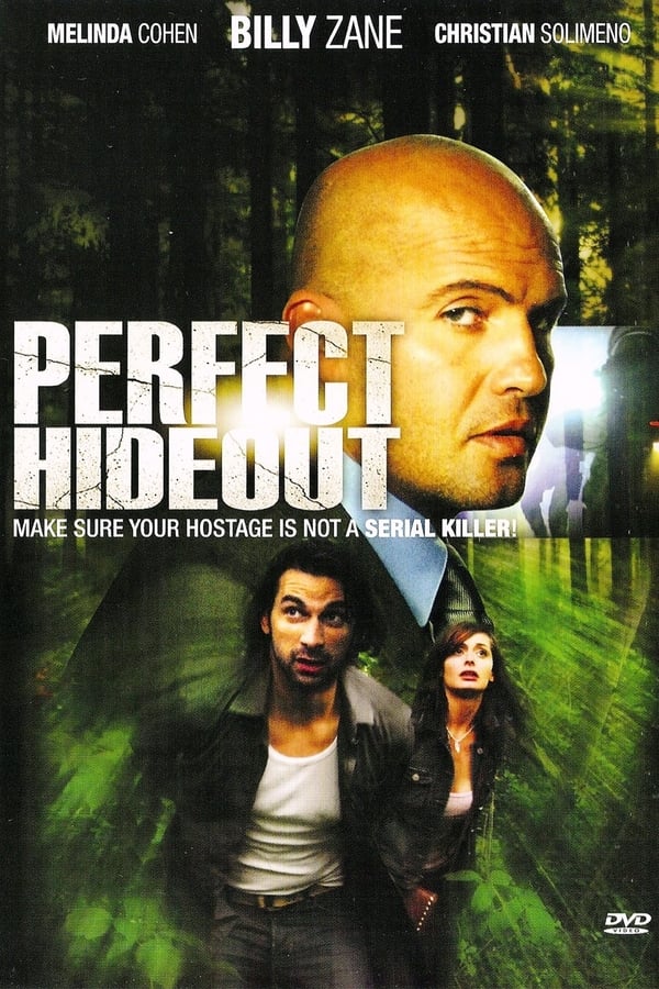 DE - Perfect Hideout - 2008