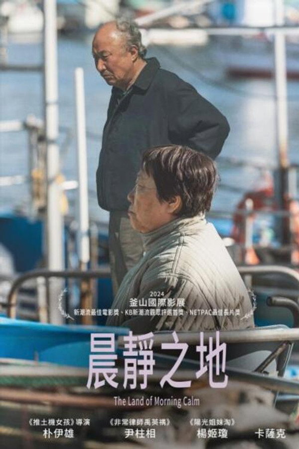 晨海的海鸥