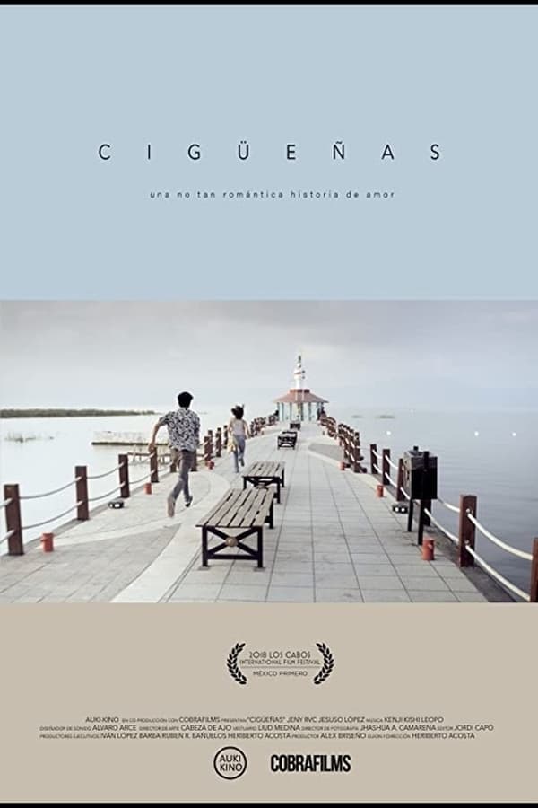 Cigüeñas