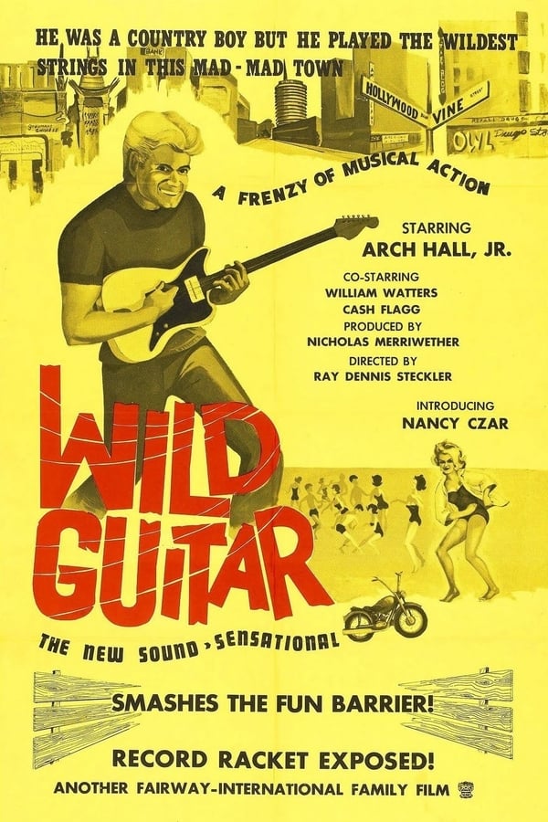 Wild Guitar