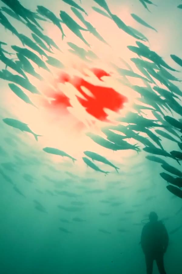 ES - Sol Rojo - 2018