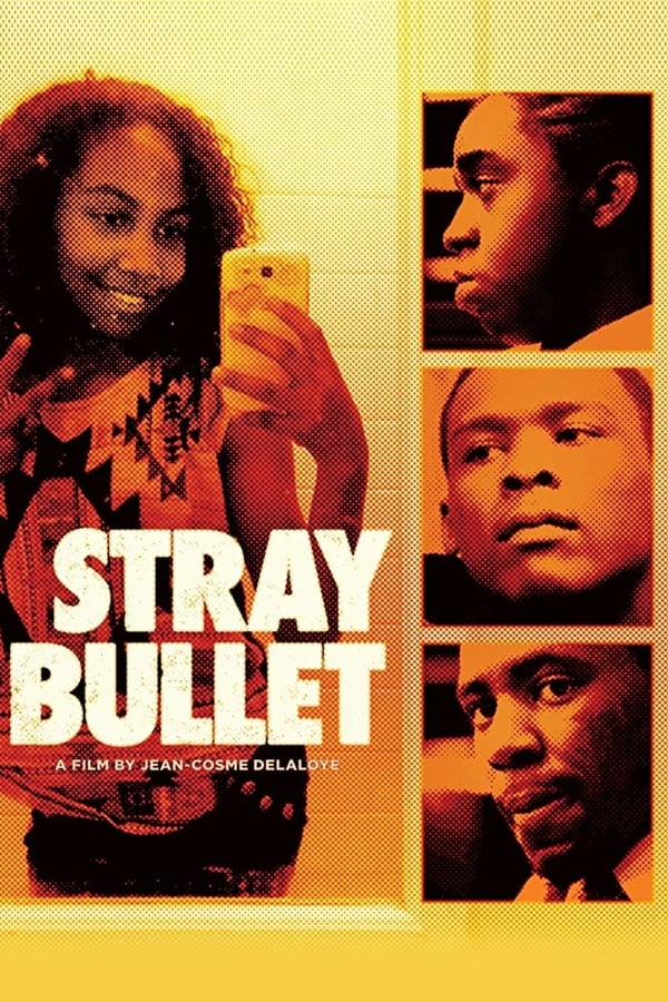 Stray Bullet