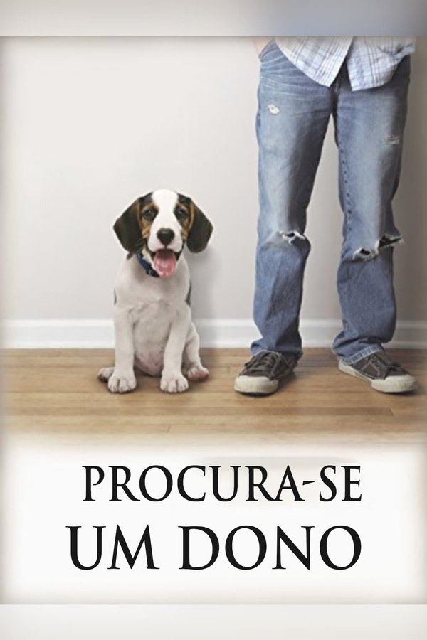 Procura-se um dono (2012)
