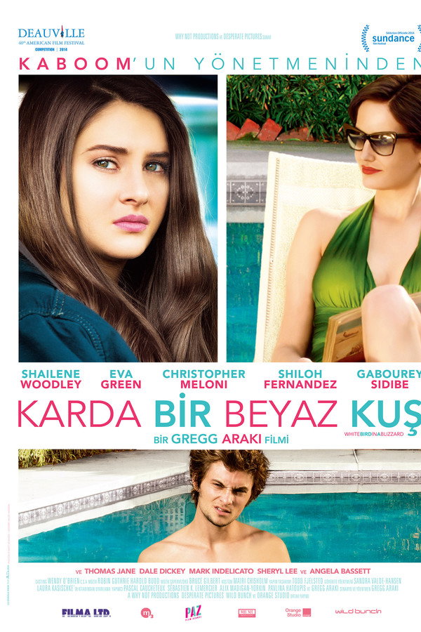 Karda Bir Beyaz Kuş (2014)