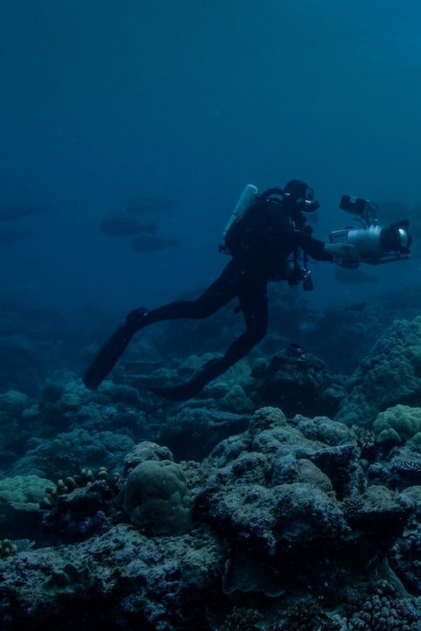 Night on Earth: Shot in the Dark (2020) backdrop image