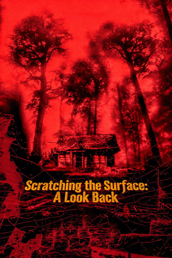 Scratching the Surface: A Look Back