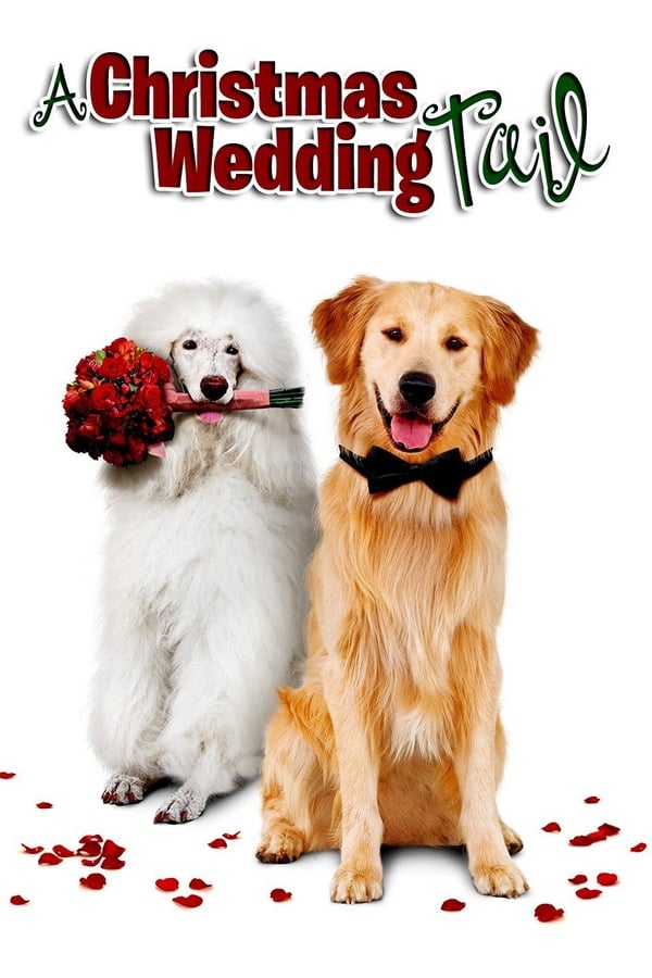 Una boda perruna por Navidad