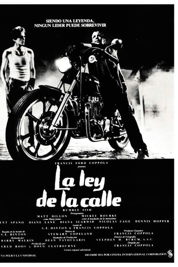 La ley de la calle