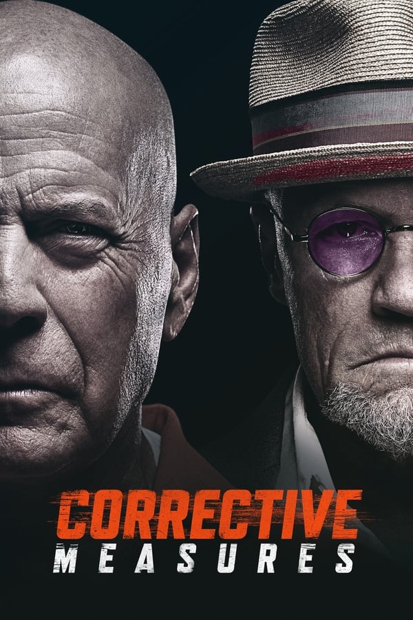 NL - Corrective Measures (2022)