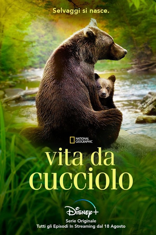 Vita da cucciolo