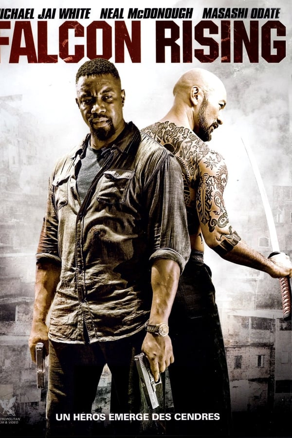 Falcon Rising