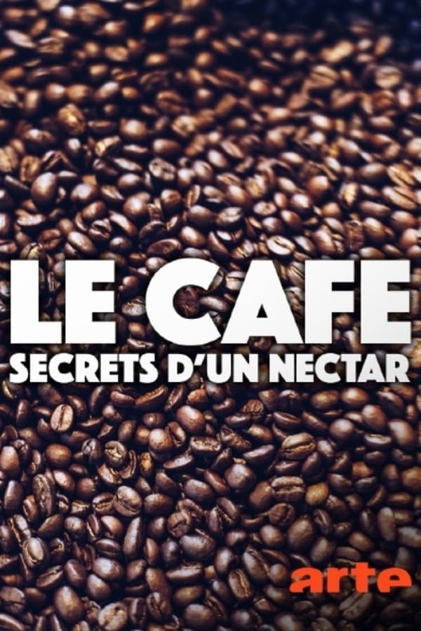 Le café – Secrets d’un nectar