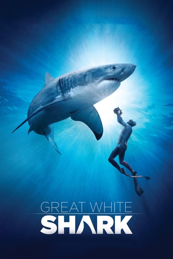 Le Grand Requin Blanc