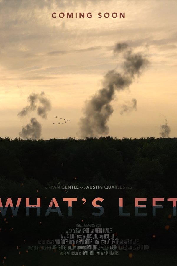 What's Left poster