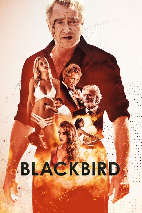 EN - Blackbird  (2022)