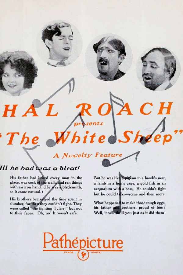 The White Sheep